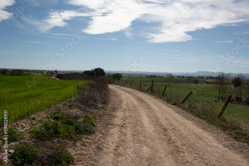 road in the field