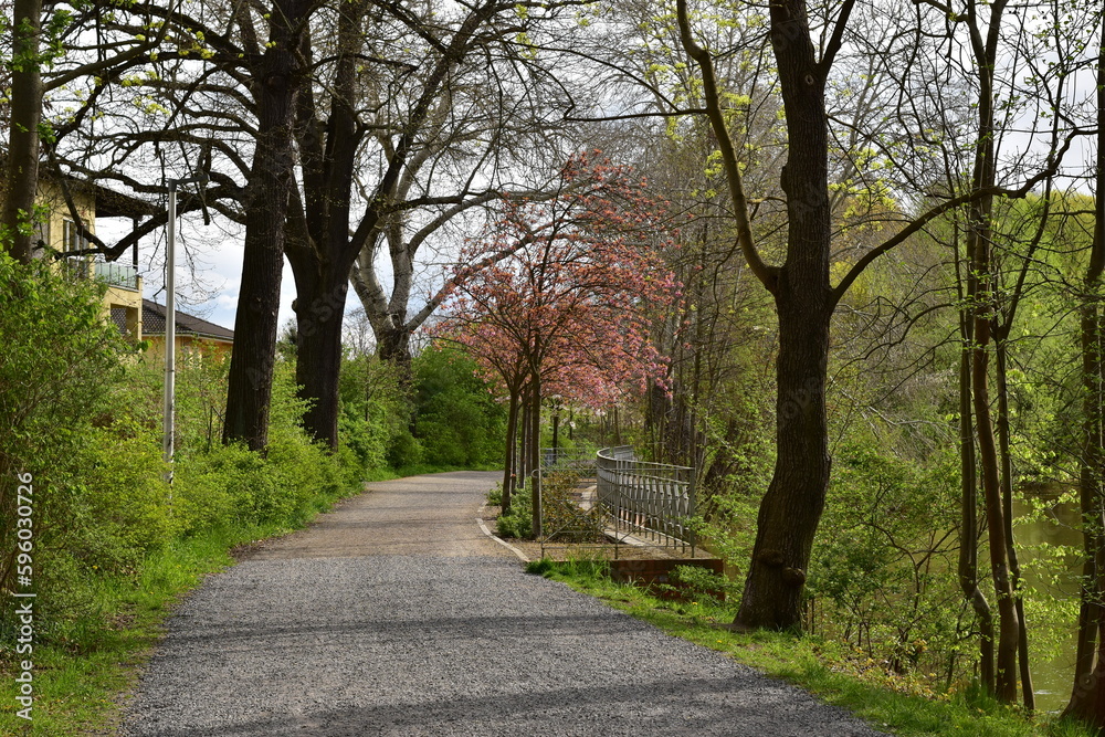 der Weg der Weg