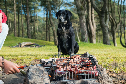 Man with a dog cooking barbeque meat in grill grate on bonfire. Preparation of bbq beef meat in grill grid outdoors
