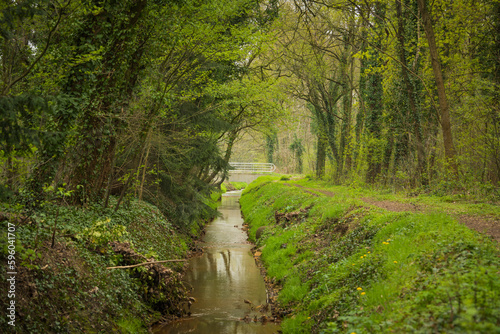 View on a small stream next to a foodpath surrounded with green trees. Trees are growing over the stream. In the background a railing of a bridge is visible. photo