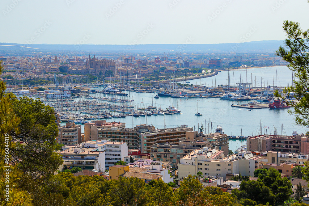 Aerial view of the port of Palma de Mallorca in the Balearic Islands, Spain