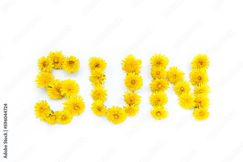 The inscription sun from dandelions on a white background. The inscription sun from dandelions on a white background.