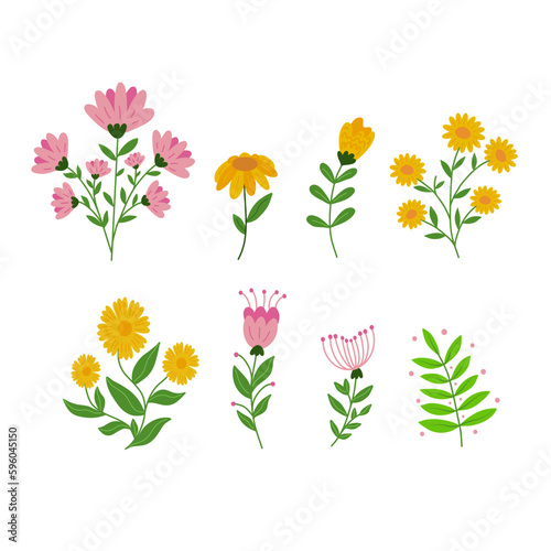 Fototapeta Naklejka Na Ścianę i Meble -  Flower collection with leaves, flower bouquets. Vector flowers. Spring art print with botanical elements