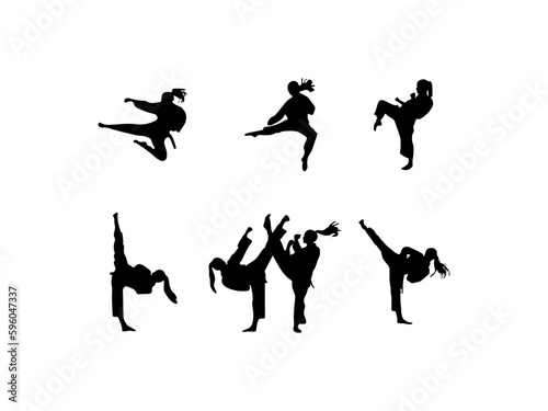 
Karate girl silhouettes. Vector illustration. Karate martial art fighter sport silhouette. Female martial athlete silhouette. Vector set of karate fighting players in various poses.