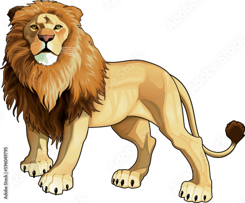 Lion king. Vector isolated animal.