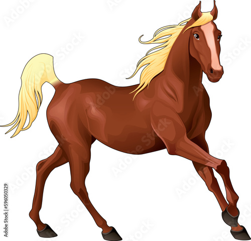 Elegant horse. Isolated vector animal.