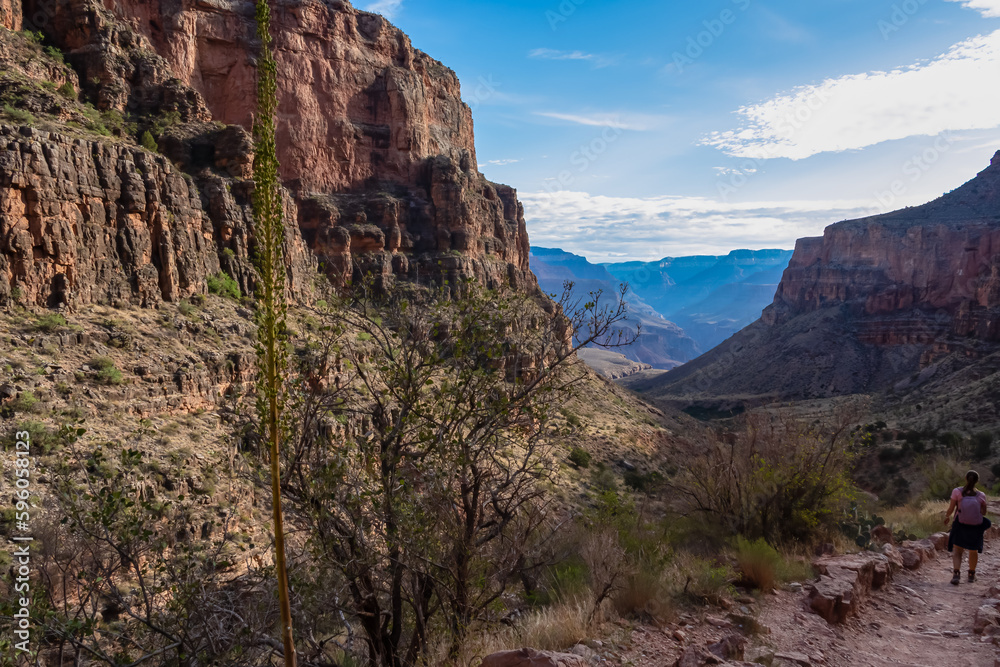Rear view of woman with backpack hiking along Bright Angel trail with panoramic aerial overlook of South Rim of Grand Canyon National Park, Arizona, USA, America. Amazing vista after sunrise in summer