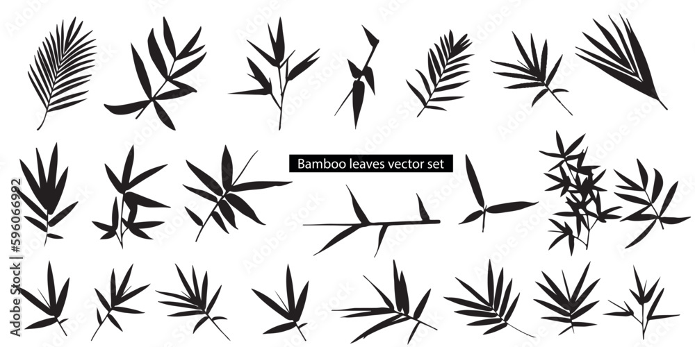 Bamboo leaves black silhouette vector set