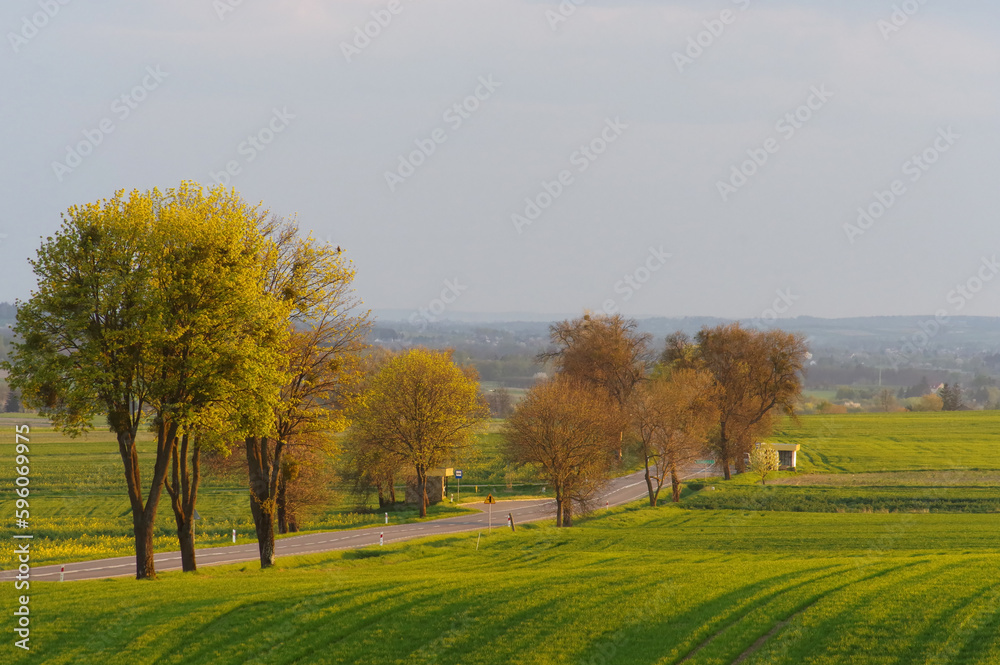 Droga krajowa wiosną przez pola wiosenną porą.