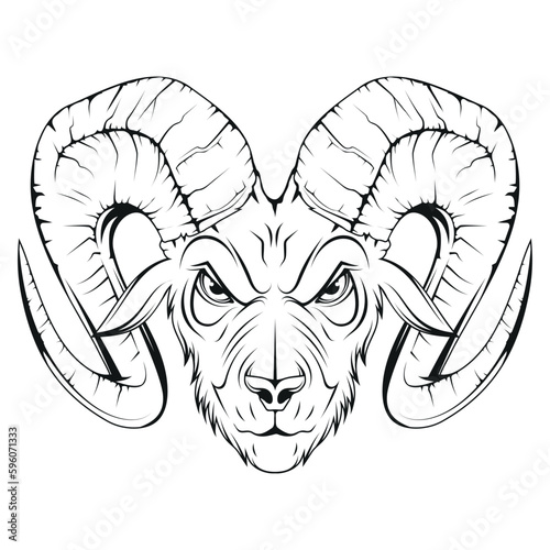 Ram head. Vector illustration of a sketch goat. Domestic lamb. Angry sheep