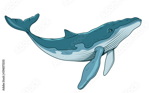 Blue whale. Vector illustration of a largest sea animal. Marine mammal. Endangered sea species