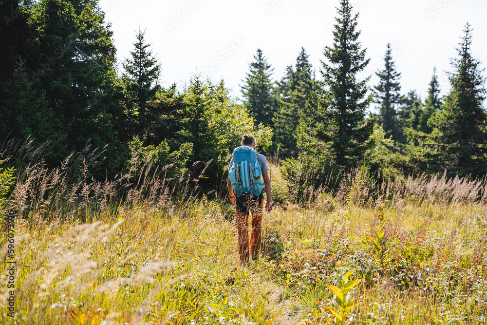 A tourist goes with a backpack on a hike in the forest, trekking alone in the forest, survival in nature, wild conditions, hiking, taiga forest, a large backpack.