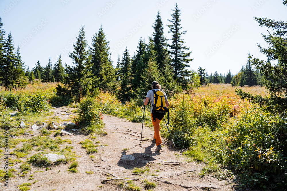 Mountain tourism, a person goes to the mountains, hiking in rough terrain, trekking in the mountains, a guy travels alone, a backpack behind his back, taiga, forest, trail.