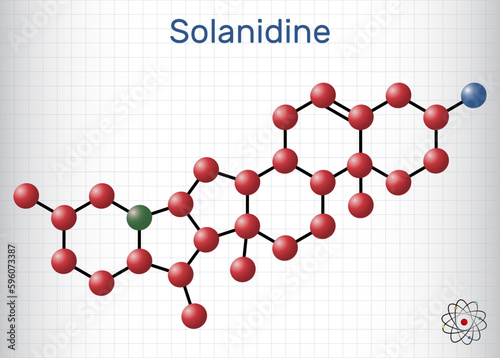 Solanidine molecule. It is poisonous steroidal alkaloid, plant metabolite, toxin. Structural chemical formula and molecule model. Sheet of paper in a cage. Vector illustration