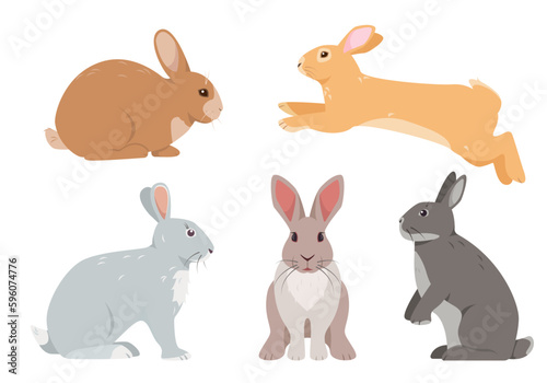 Set of domestic rabbits and little rabbits in different poses and colors. Farm animals or pets icons isolated on white background. Vector illustration.