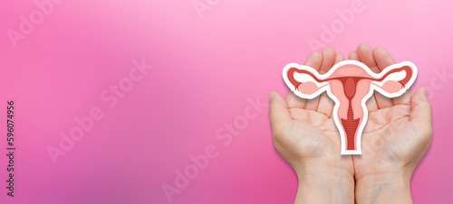 Female reproductive system. Hands holding uterus. photo