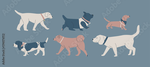 A set of various dogs. Cute dogs of different breeds. Dog show or dog walking in the city or in the park. Vector flat contour graphics.