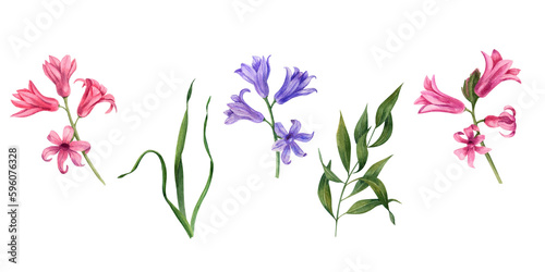 Set of watercolor hyacinths isolated on white background. Illustration for Valentine's day, wedding invitation, birthday and mother’s day cards, prints and different decorations.