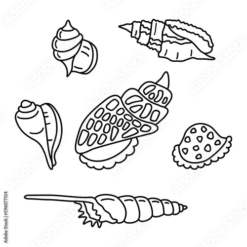 Set of seashells drawn by line black color.Clip 
art  molluscs in vector.Underwater life of ocean
and sea.Graphic elements for coloring.Spiral
conical shapes.Illustration isolated on white.
