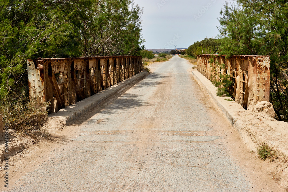 old road Steal bridge through trees in algeria  