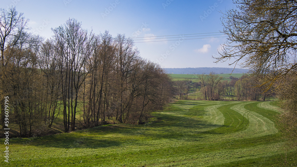 Feld im Frühling