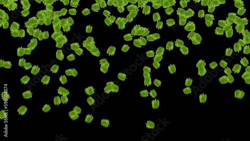 Green Bell Peppers Capsicum Animation Background