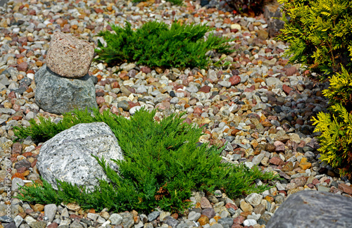 jałowiec płozący na ogrodowej rabacie, żwirowa rabata z iglakami (Juniperus), Coniferous bushes in a flower bed, flower bed with stones and coniferous plants 