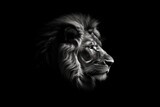 majestic lion in black and white photography. Generative AI