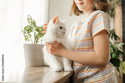 A girl plays with her beloved fluffy, white kitten. The child pets the cat. Attachment between children and pets. Funny life of cats at home