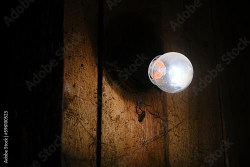 The light bulb on the wooden wall glows