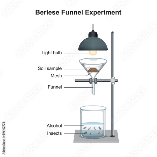 Scientific Designing of Berlese Funnel Experiment. Vector Illustration. photo