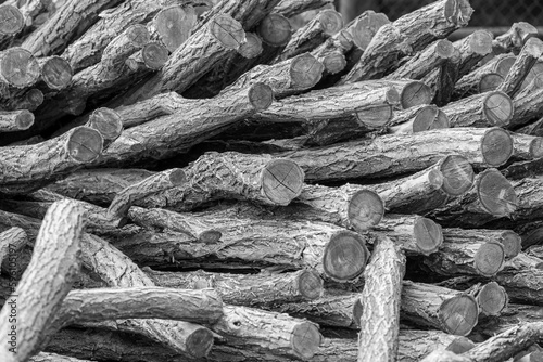Black and white photo of the stacked logs