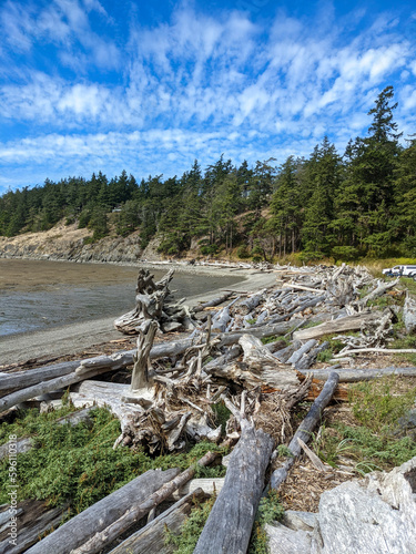 Driftwood Adorns Marthas Beach, LaConner Washington - Shelter Bay photo