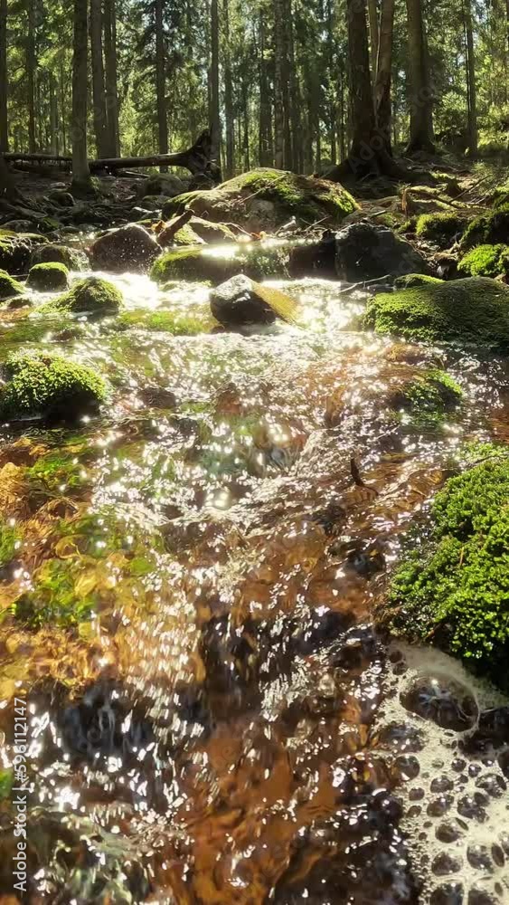 Man taking clear drinking water from a stream in forest. Close-up hand. Nuuksio National Park, Finland. Sunny summer day in forest. Beautiful spring water running in rocks.