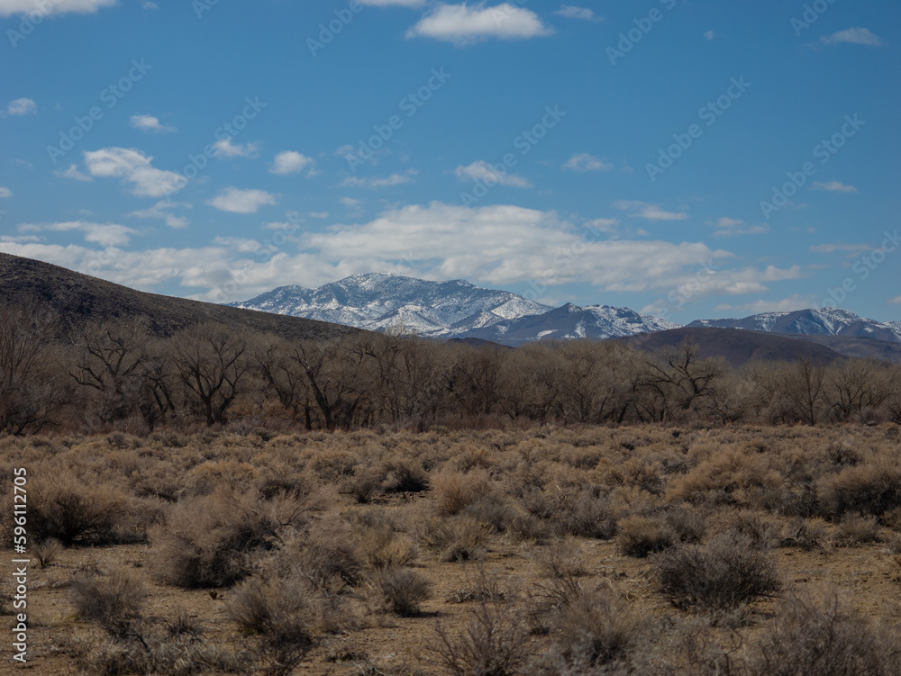 Snow covered mountains in the distance viewed from dry desert 