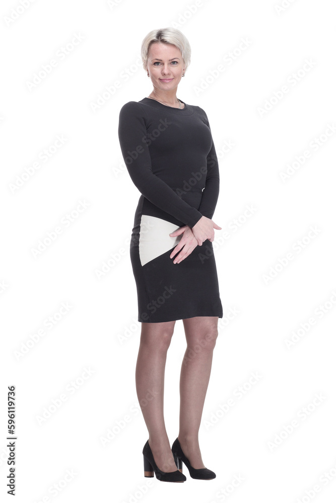 young business woman in an elegant dress. young business woman in an elegant dress.