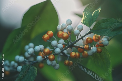 Illustration of imazamox herbicide molecule. Generative AI photo