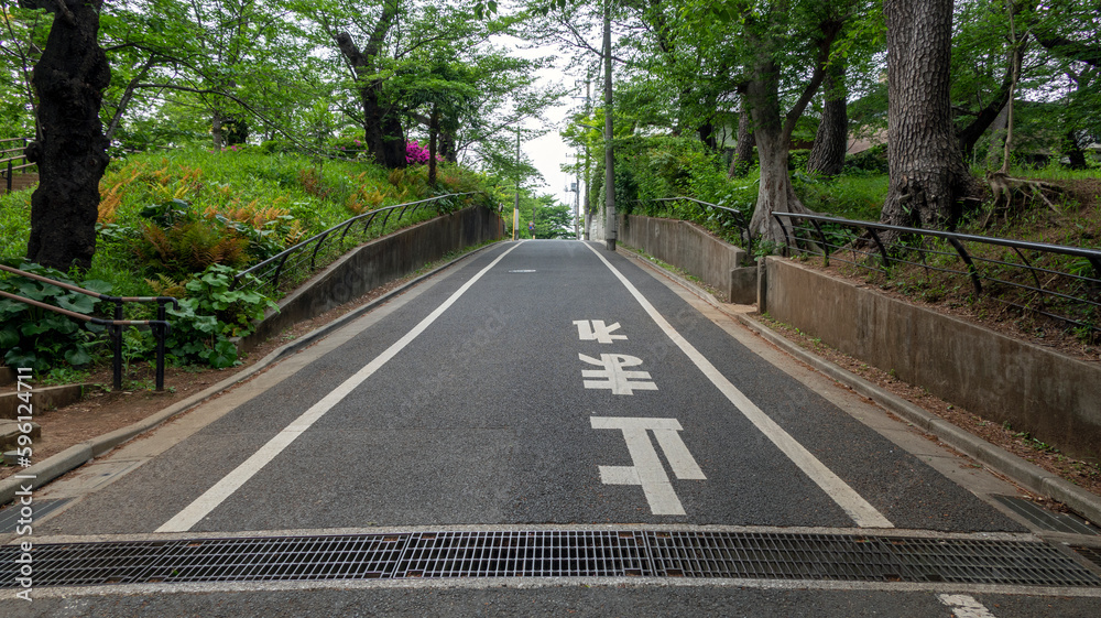 Fototapeta premium 坂道と公園