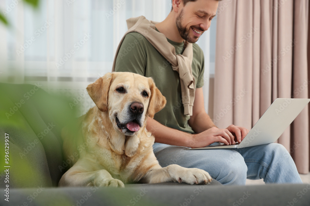 Man using laptop on sofa near his cute Labrador Retriever at home Man using laptop on sofa near his cute Labrador Retriever at home