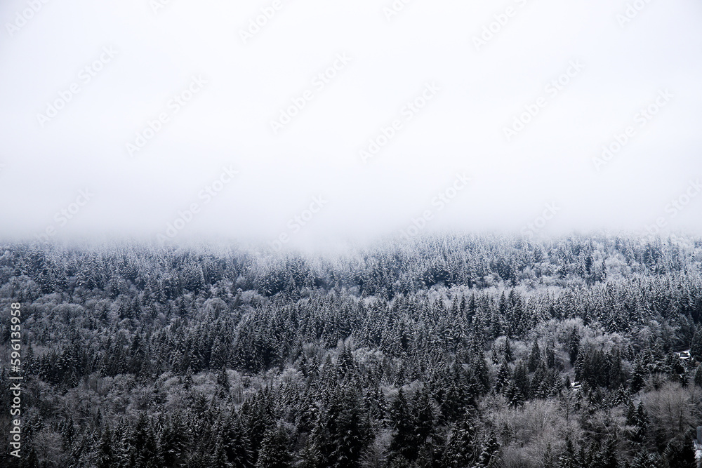 Foggy day with snowy mountain Foggy day with snowy mountain