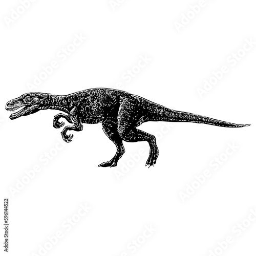 Herrerasaurus hand drawing vector isolated on background. © tya studio