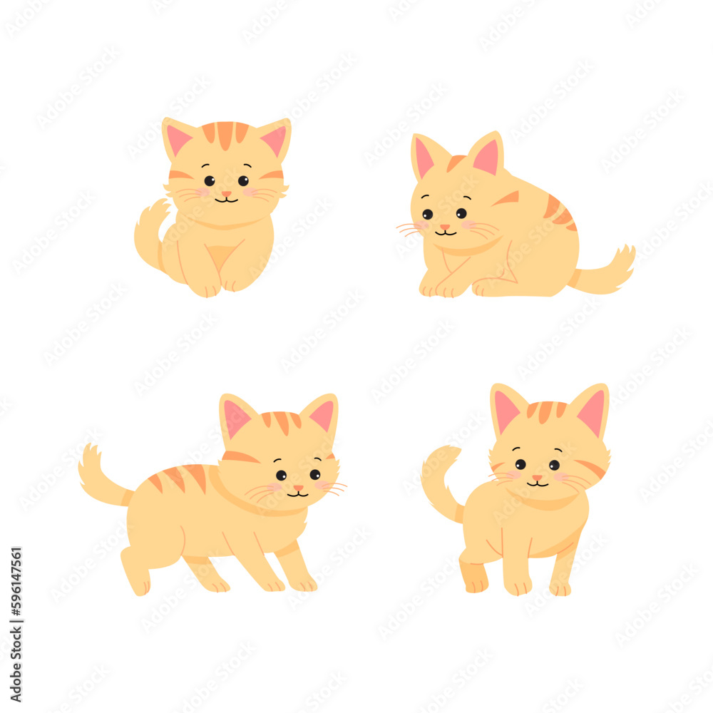 아기고양이 아기고양이