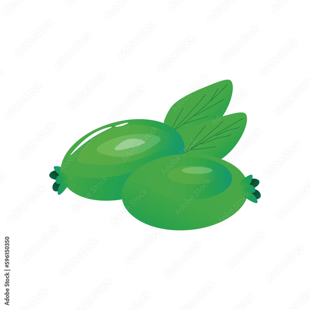 Aromatic feijoa fruit on white background Aromatic feijoa fruit on white background