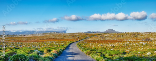 The wilderness of Cape Point National Park. Road through the wilderness of Cape Point National Park, Western Cape, South Africa.