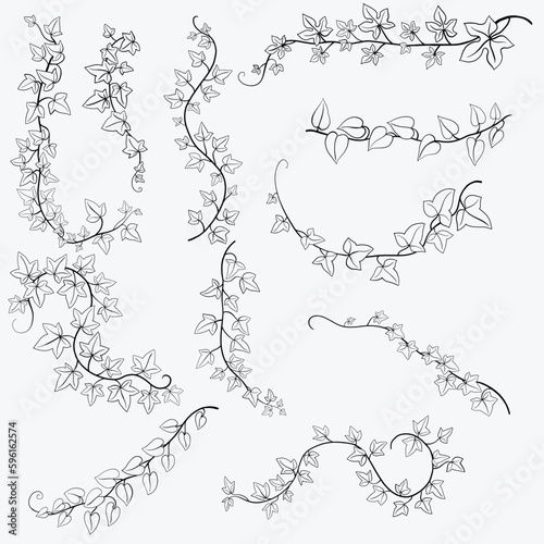 Floral ivy drawing decorative ornament flat design collection.