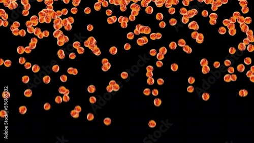 Peaches fruit falling animation background