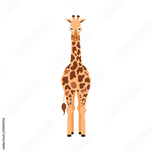 Giraffe character standing in front position, flat vector illustration isolated.