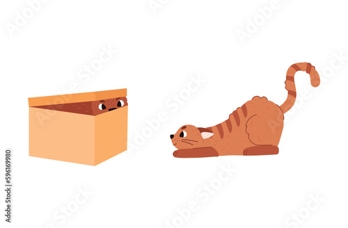 Cat hiding in cardboard box and cunning hunting pet flat style