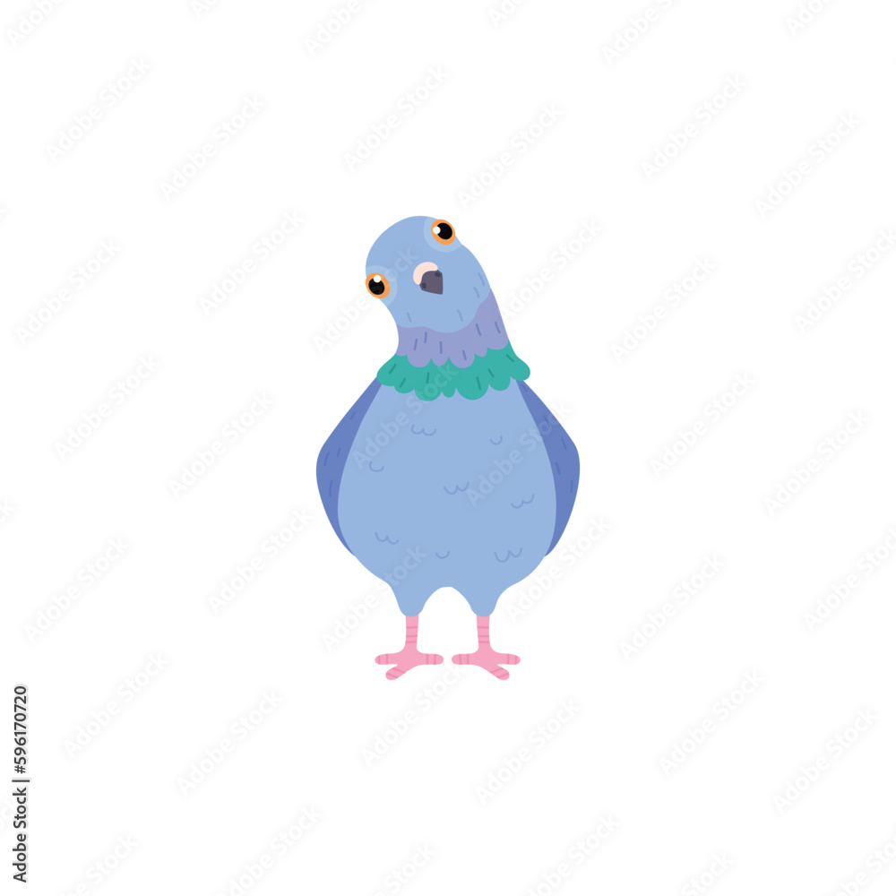 Funny blue pigeon watching tilting head front view flat style Funny blue pigeon watching tilting head front view flat style