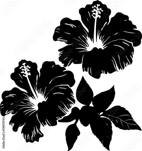 Hibiscus tropical flowers. Black and white graphic, of Hawaiian flora. Vector illustration on white isolated background. Good for packaging, posters, and social media.